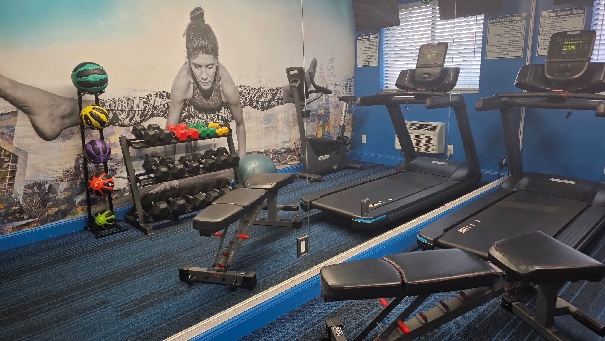 A gym with treadmills, a bench, a squat rack, and various weights.