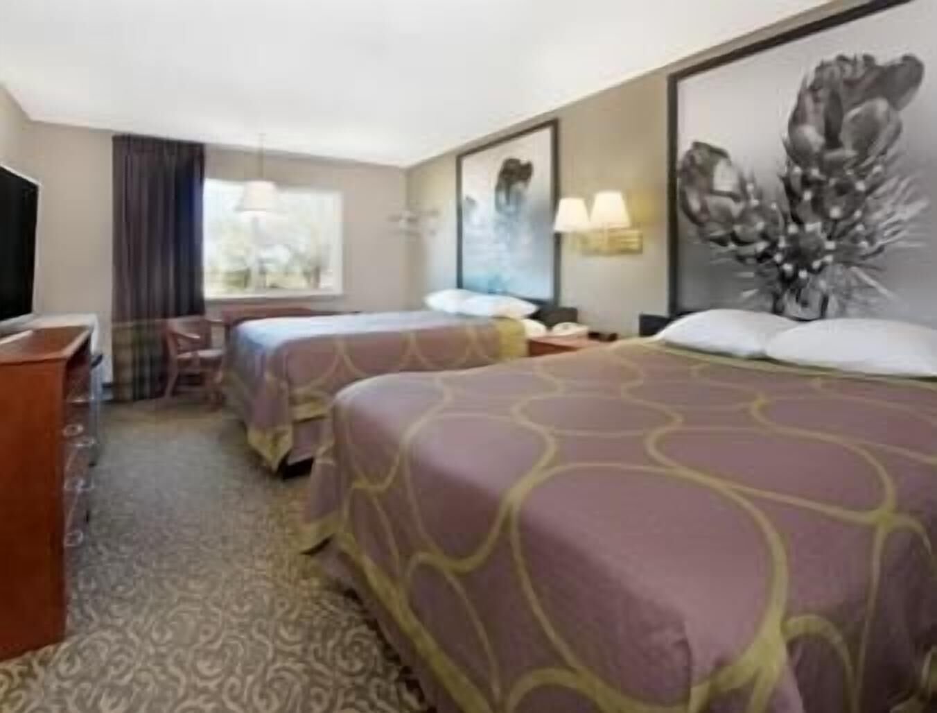 Desk, blackout curtains, iron/ironing board, rollaway beds