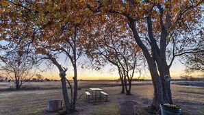 A picnic area with a table and benches, surrounded by trees with autumn leaves.