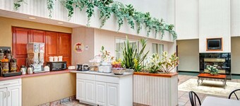 Super 8 by Wyndham Brockton