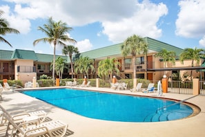 Outdoor pool, sun loungers