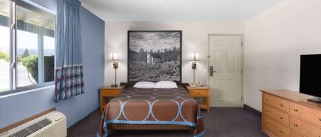 A hotel room with a large bed, a flat-screen TV, a heater, a window with curtains, and a door.