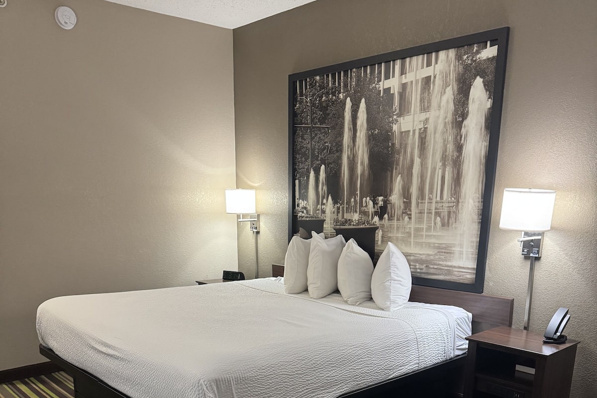 Standard Room, 1 King Bed, Accessible, Non Smoking (Mobility)