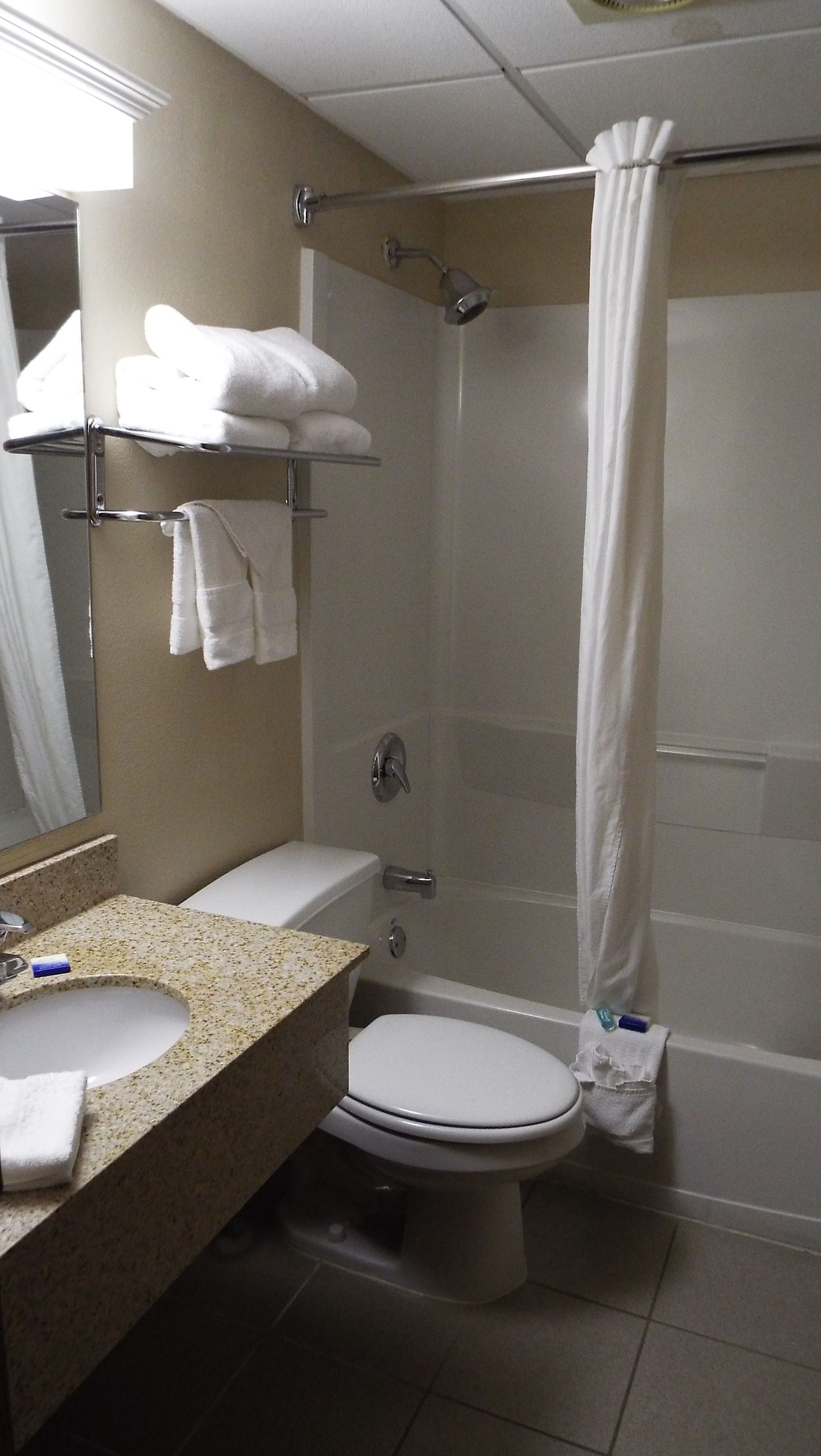 Un baño con inodoro, lavamanos y ducha.