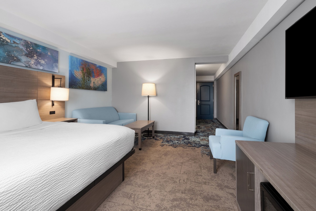 Habitación de hotel con cama, escritorio, silla, televisión y obras de arte en las paredes.