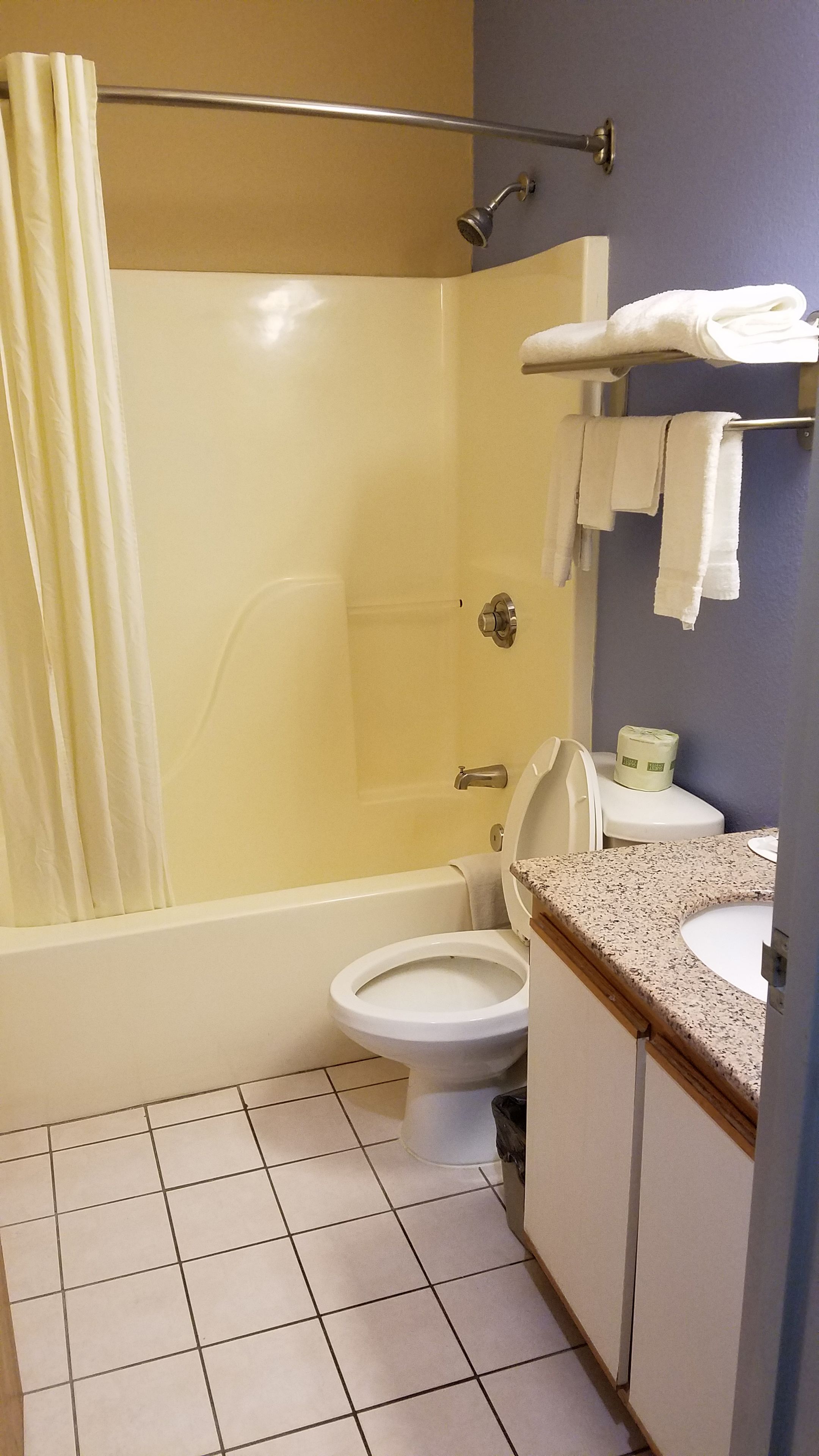 A bathroom with a shower, toilet, and sink.