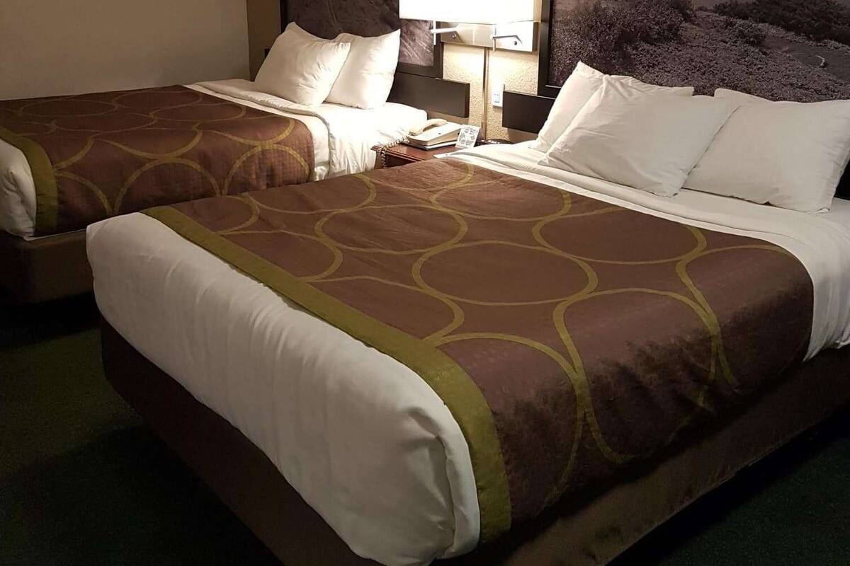 A hotel room with two beds, each with a brown and white patterned bedspread, a wooden headboard, and a nightstand with a lamp and a book.
