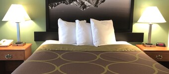 Super 8 by Wyndham Salmon
