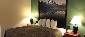 Hotel Salmon