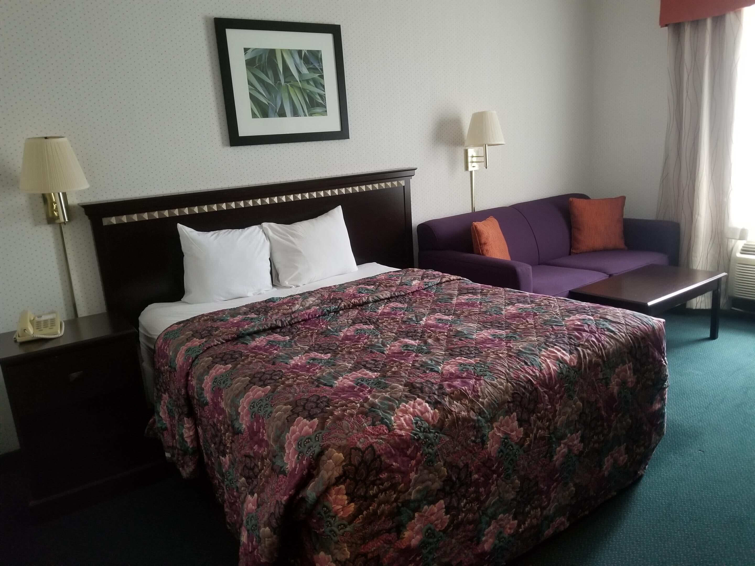 A hotel room with a large bed, a sofa, a framed picture on the wall, and two bedside lamps.