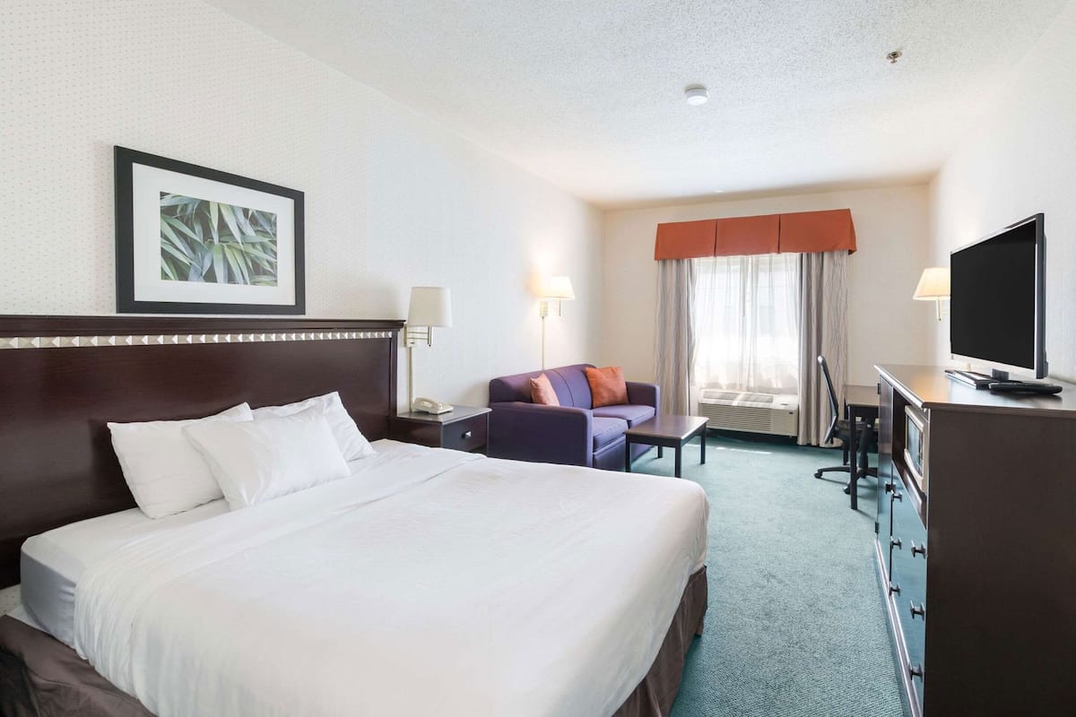 A hotel room with a large bed, a desk with a television, a chair, a sofa, and a window with curtains.