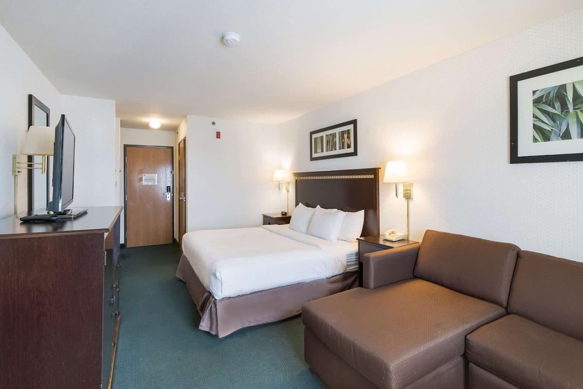 A hotel room with a bed, a desk with a computer, a brown sofa, and a nightstand with a lamp.