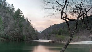 A river surrounded by dense forest with a prominent bare tree in the foreground. - Super 8 by Wyndham Cleveland (Cleveland)