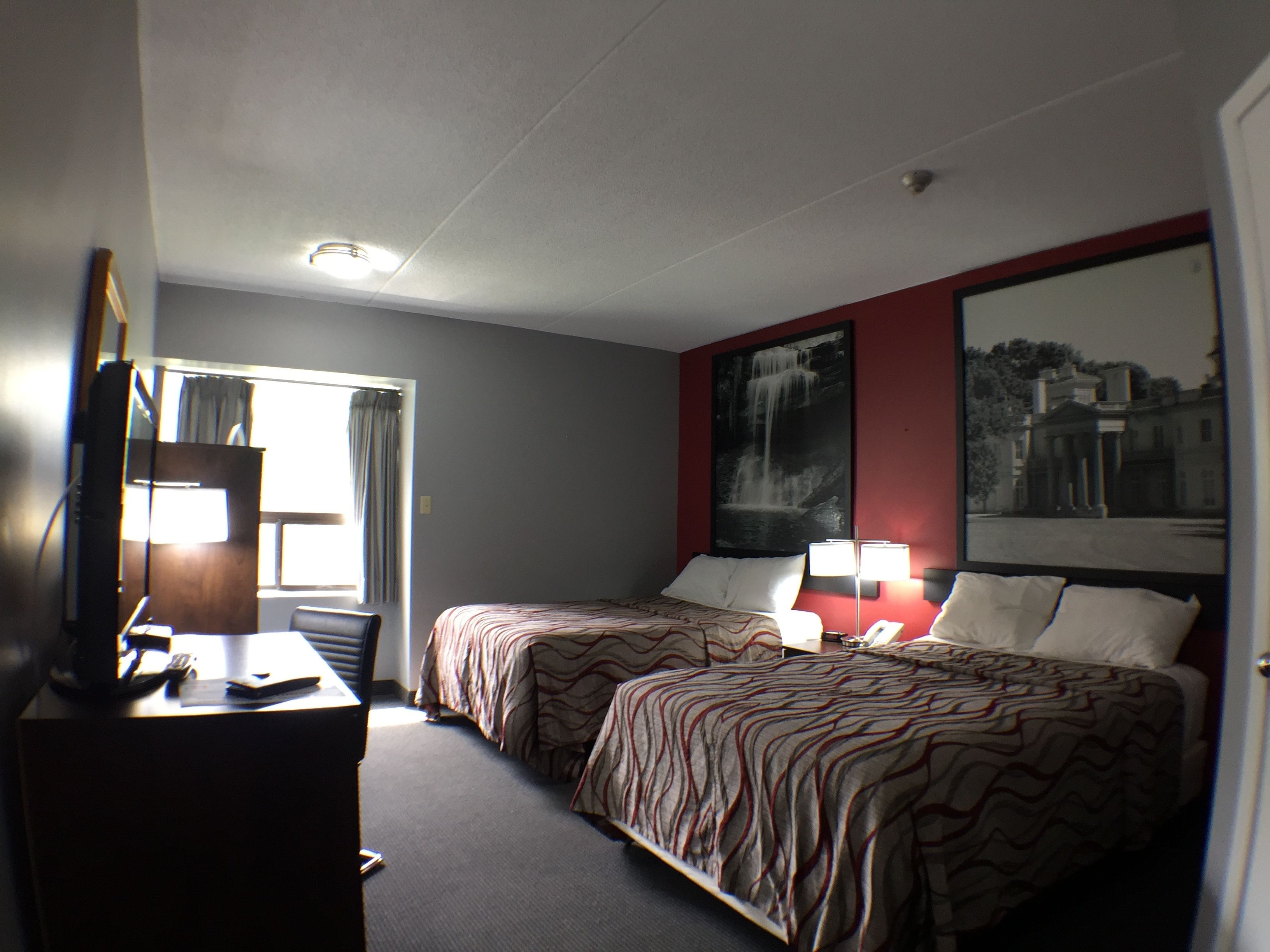 double room, 2 double beds | desk, iron/ironing board, free cots/infant beds, free wifi