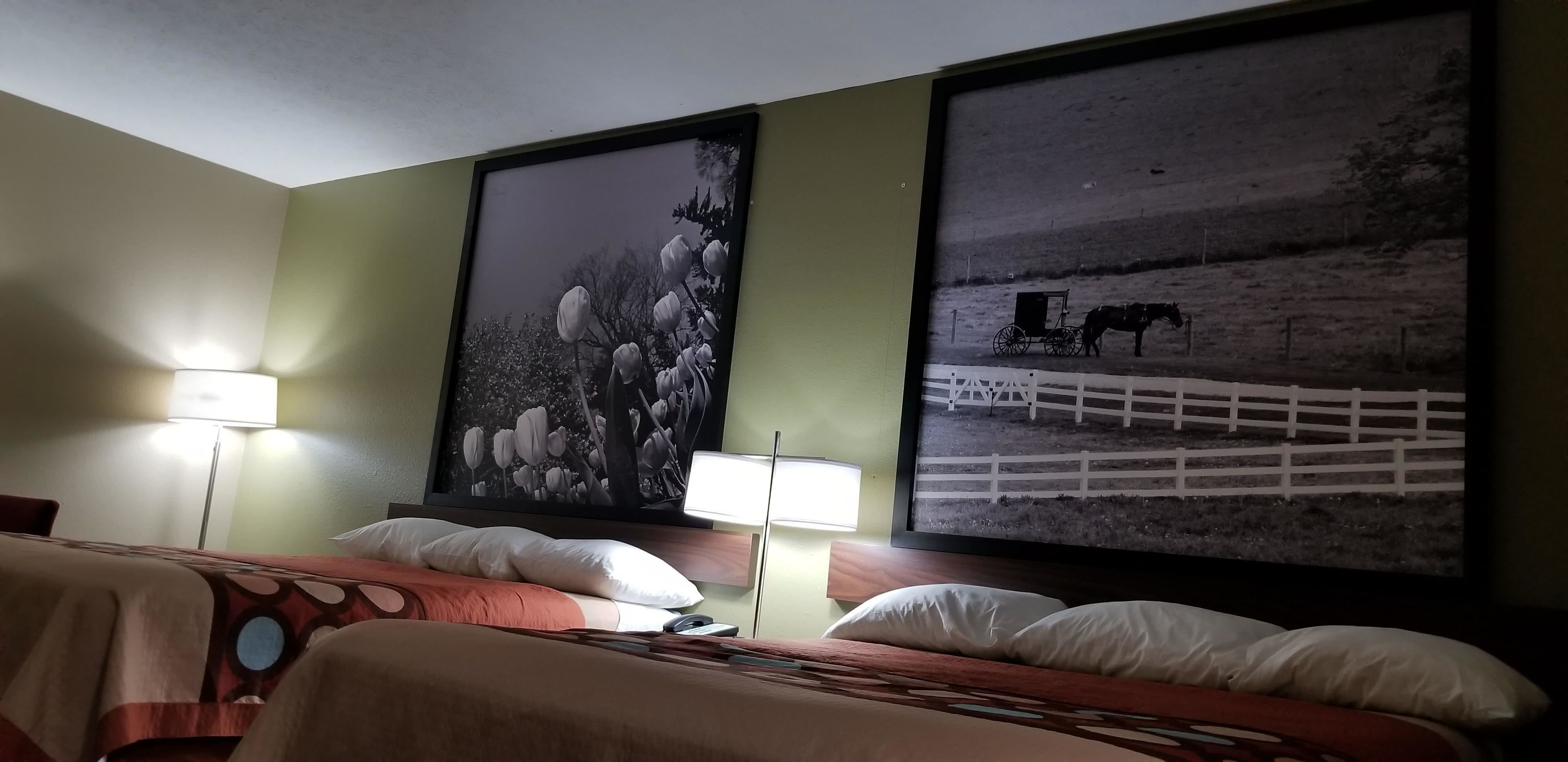 A hotel room with a bed, two lamps, and two large framed pictures on the wall.