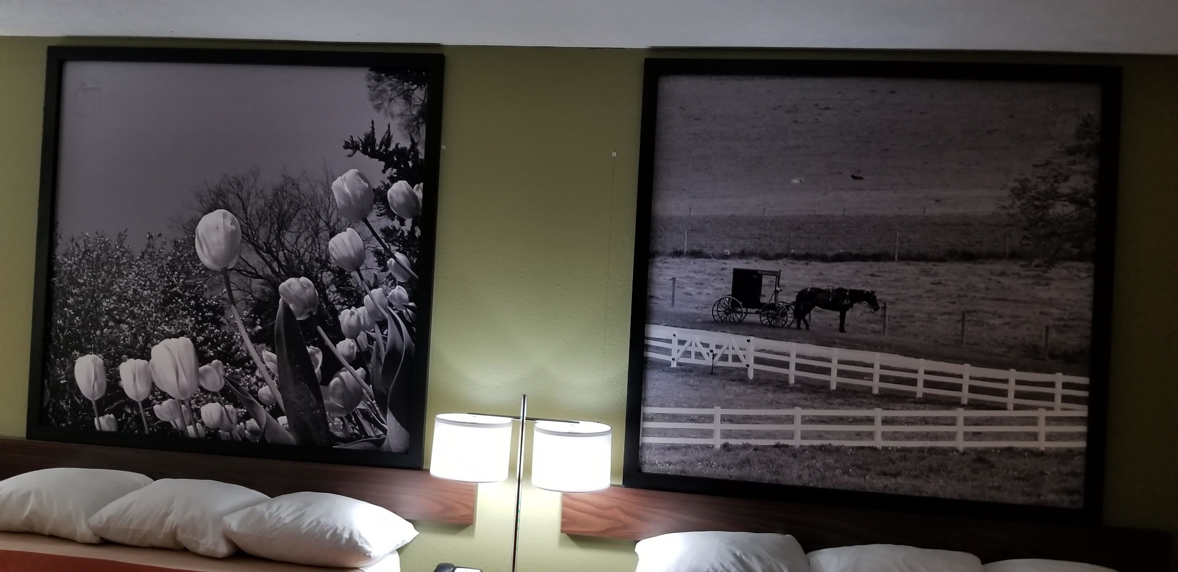 Dos fotografías en blanco y negro en una pared, una lámpara en el intermedio, y una cama con almohadas.
