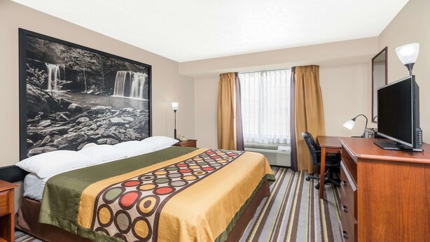 Habitación de hotel con una cama, un escritorio, un televisor y un cuadro grande con una cascada.