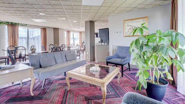 A hotel lobby with a sofa, armchair, coffee table, potted plant, and dining area.