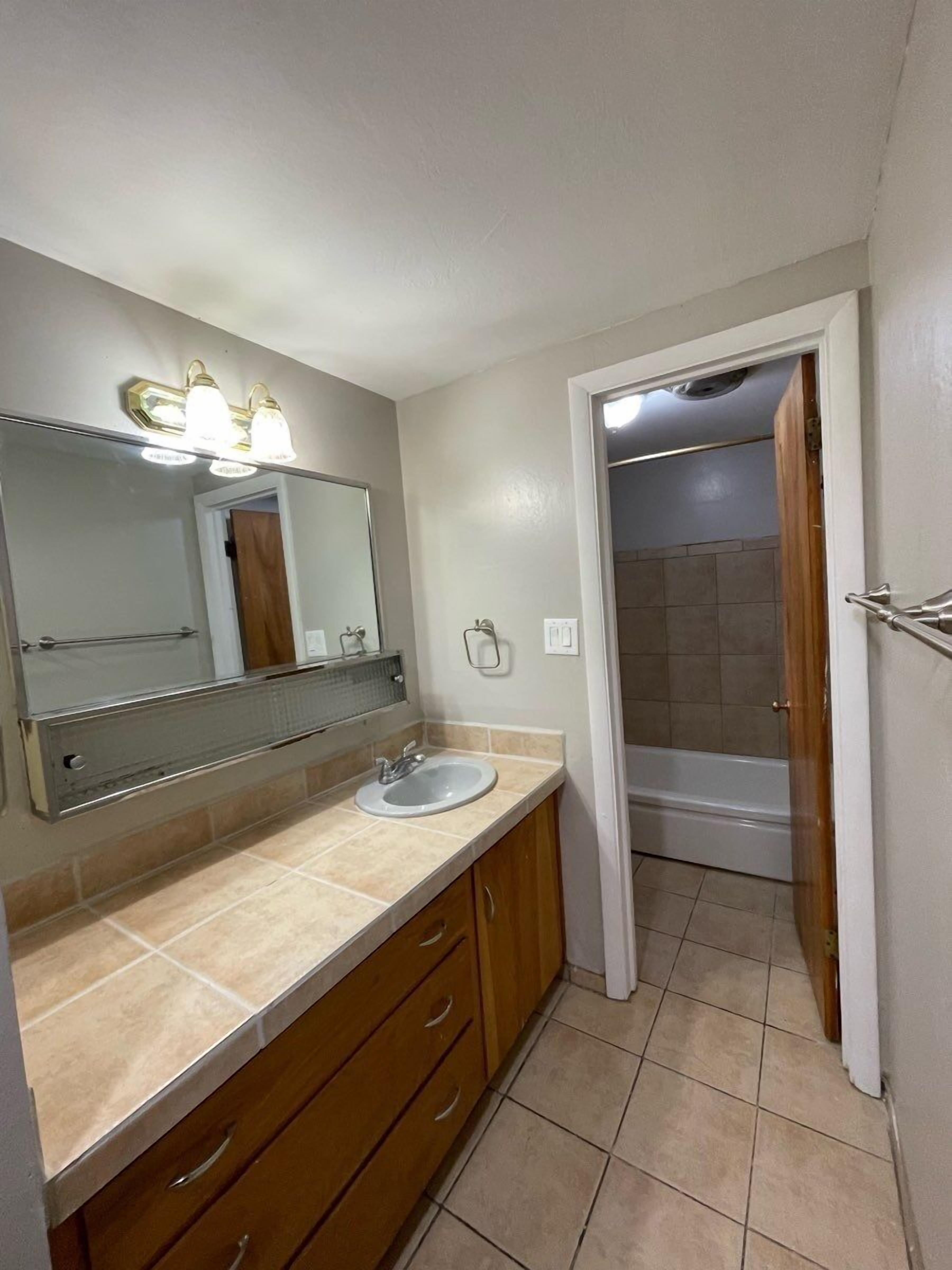 A bathroom with a sink, mirror, vanity, and a shower area.
