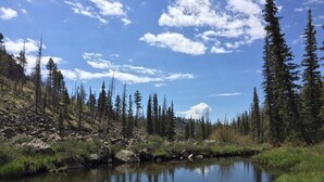 A serene lake surrounded by dense forest and rocky terrain under a clear blue sky.