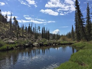 A serene lake surrounded by dense forest and rocky terrain under a clear blue sky.