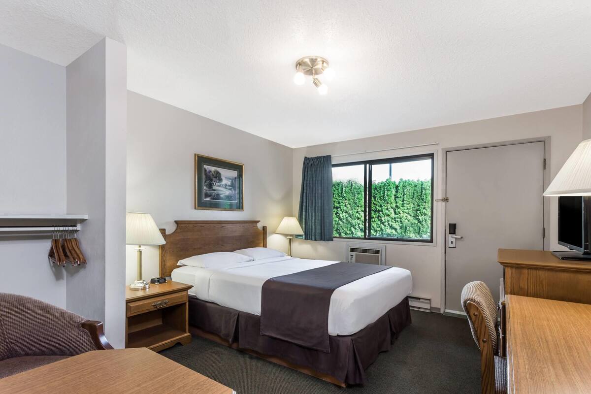 A hotel room with a bed, bedside tables, a desk, a chair, a television, and a window with a view of greenery.