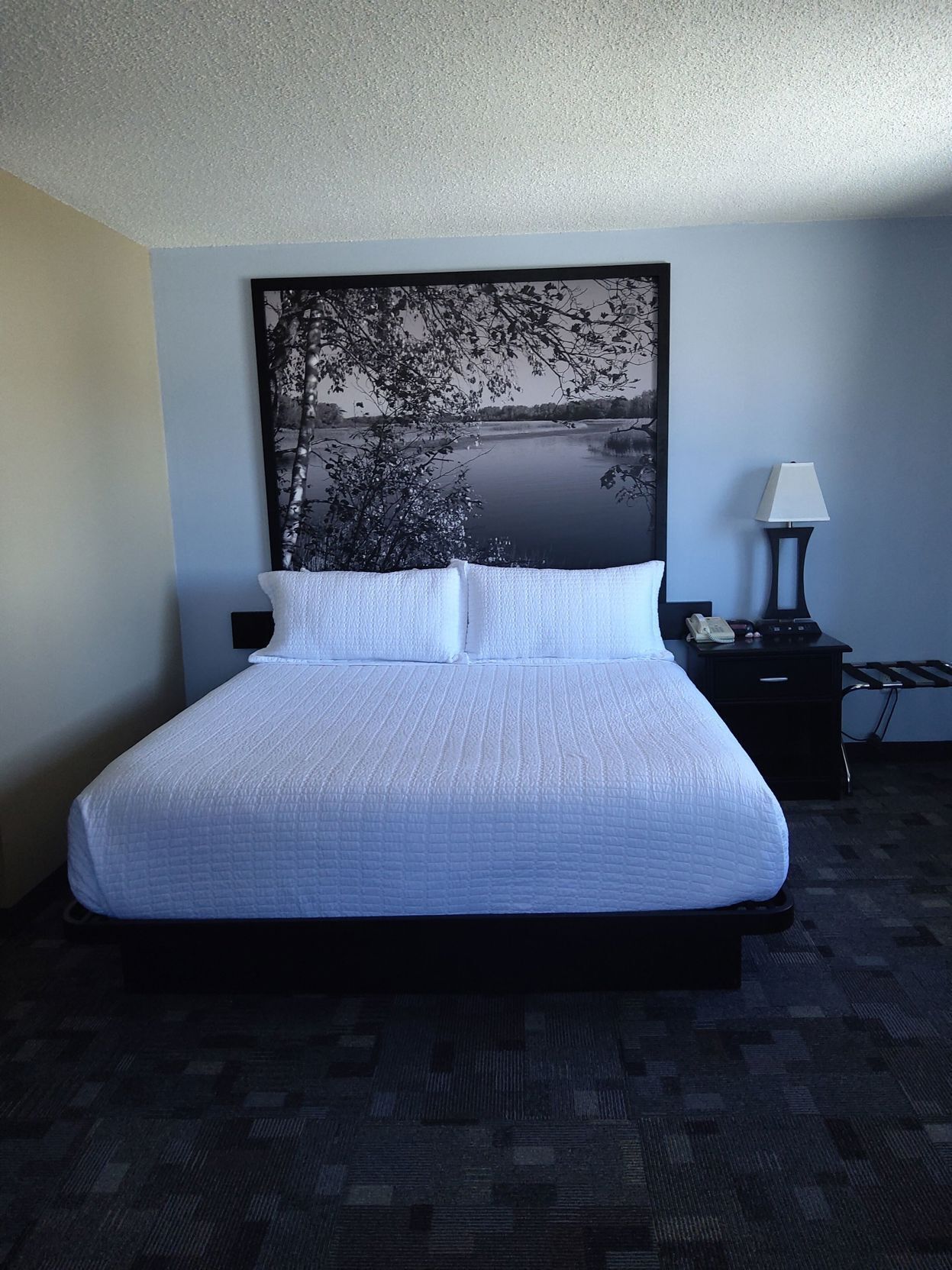 Màn/rèm cản sáng, nôi (giường cho trẻ sơ sinh) miễn phí 