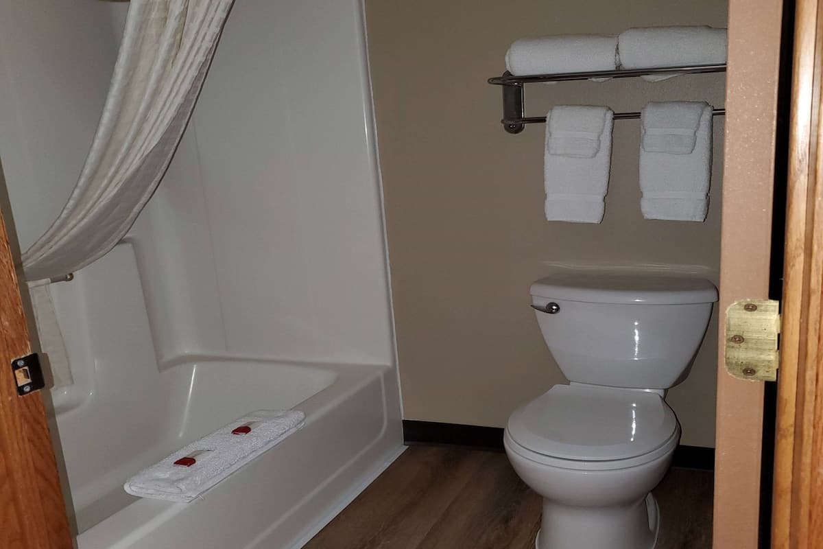 Combined shower/bathtub, deep-soaking bathtub, free toiletries