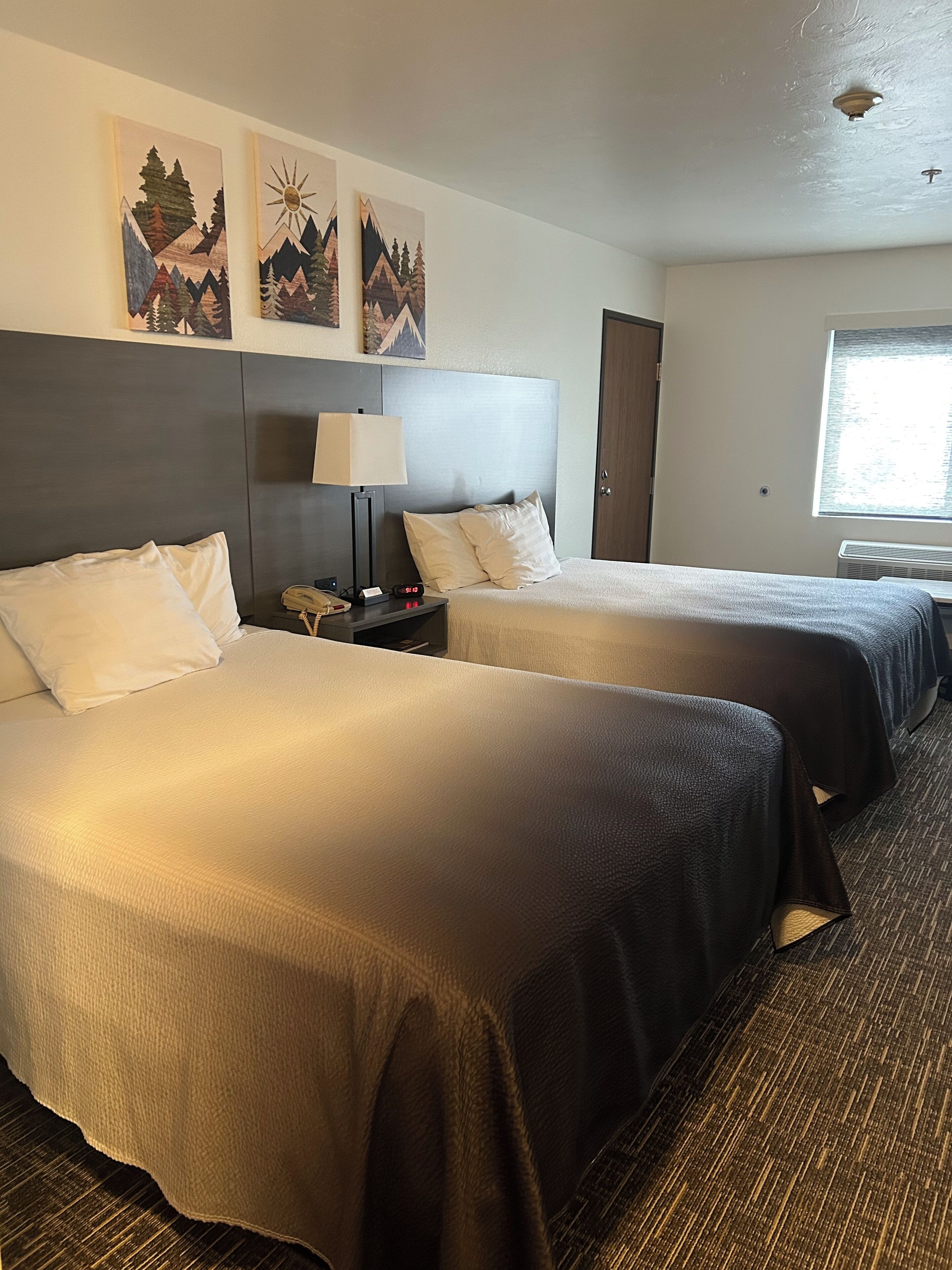 Blackout curtains, iron/ironing board, free cots/infant beds