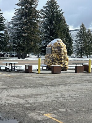BBQ/picnic area
