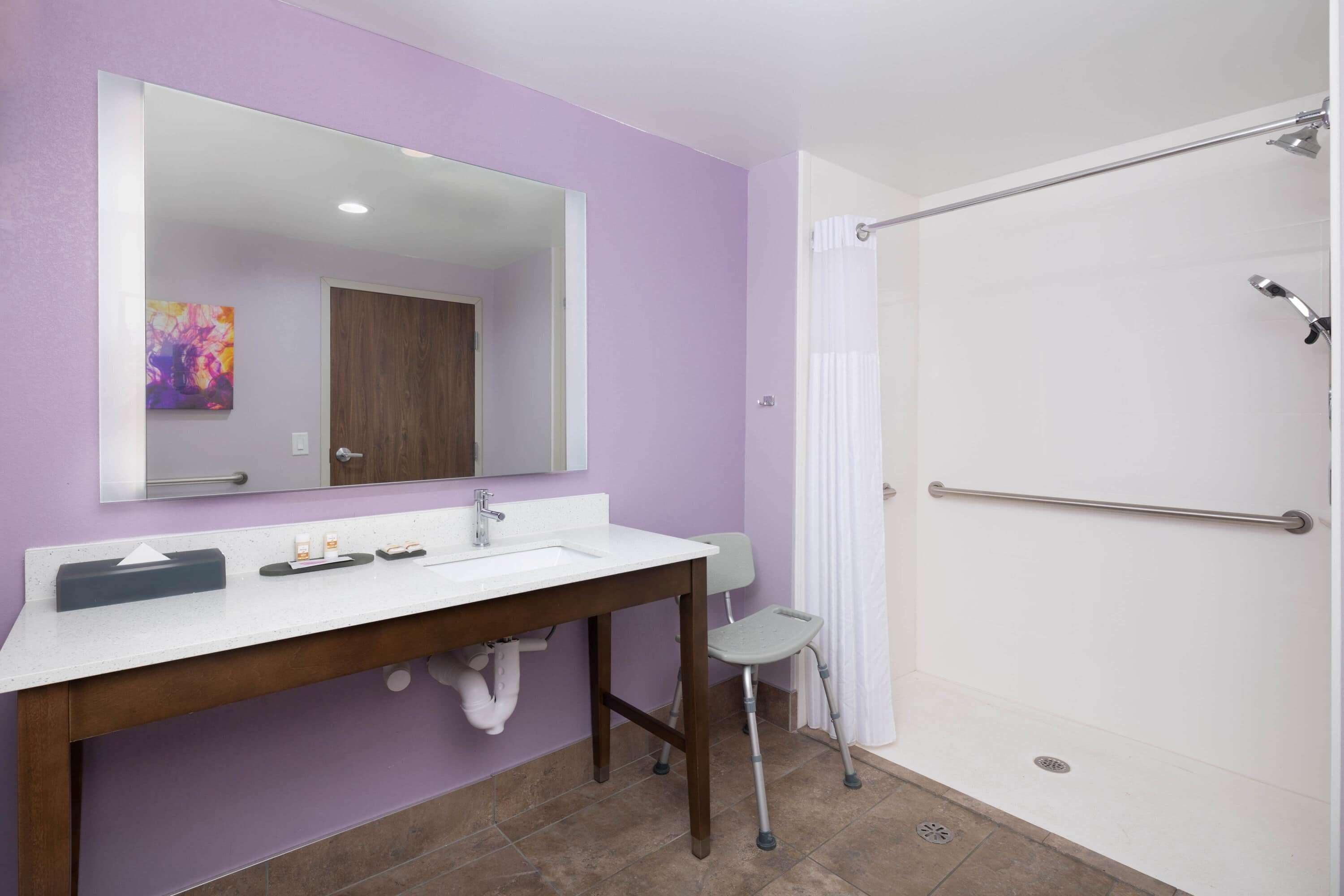 room, 1 king bed, accessible, non smoking (mobility) | bathroom shower