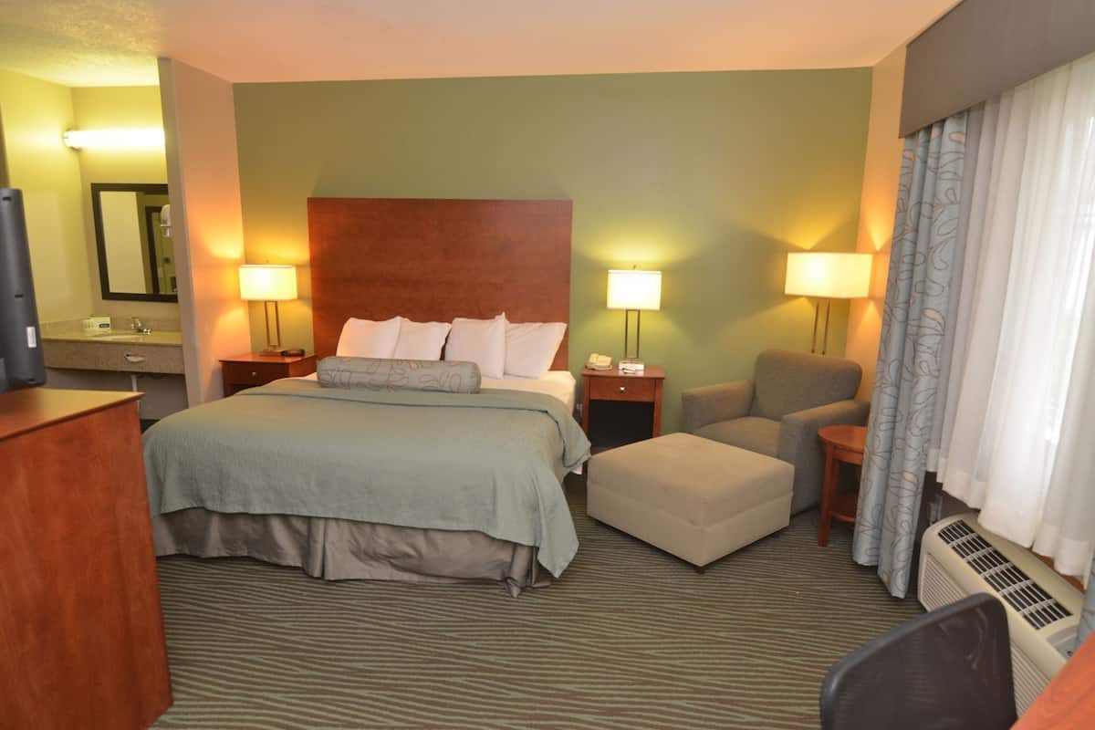 A hotel room with a bed, a chair, a desk, a lamp, a mirror, and a heater.
