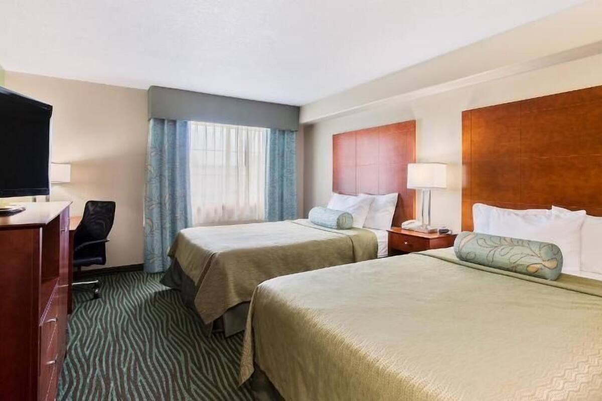 Escritorio, cortinas blackout y insonorización