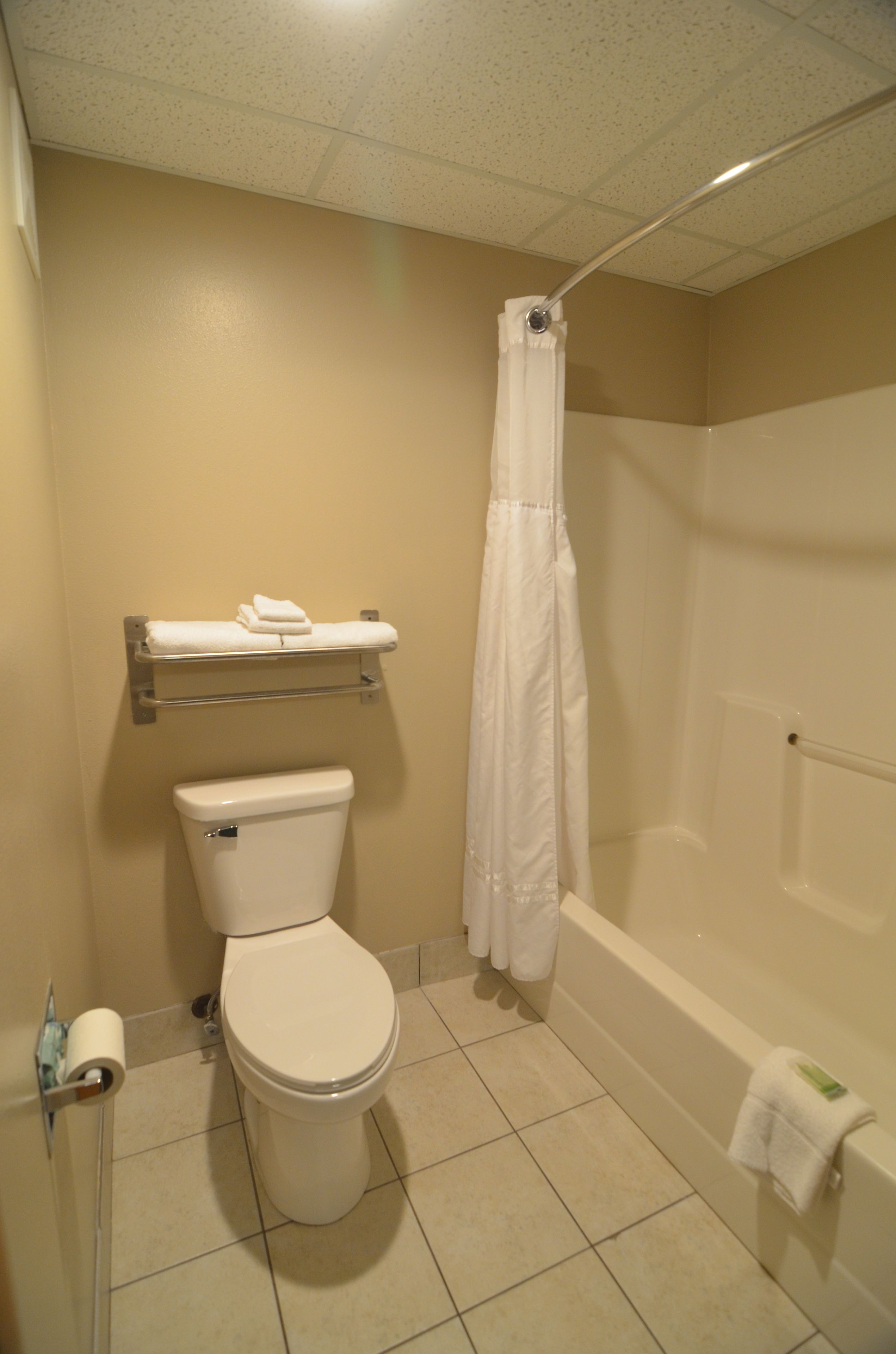 combined shower/bathtub, free toiletries, hair dryer, towels