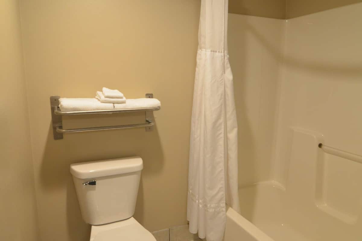 combined shower/bathtub, free toiletries, hair dryer, towels