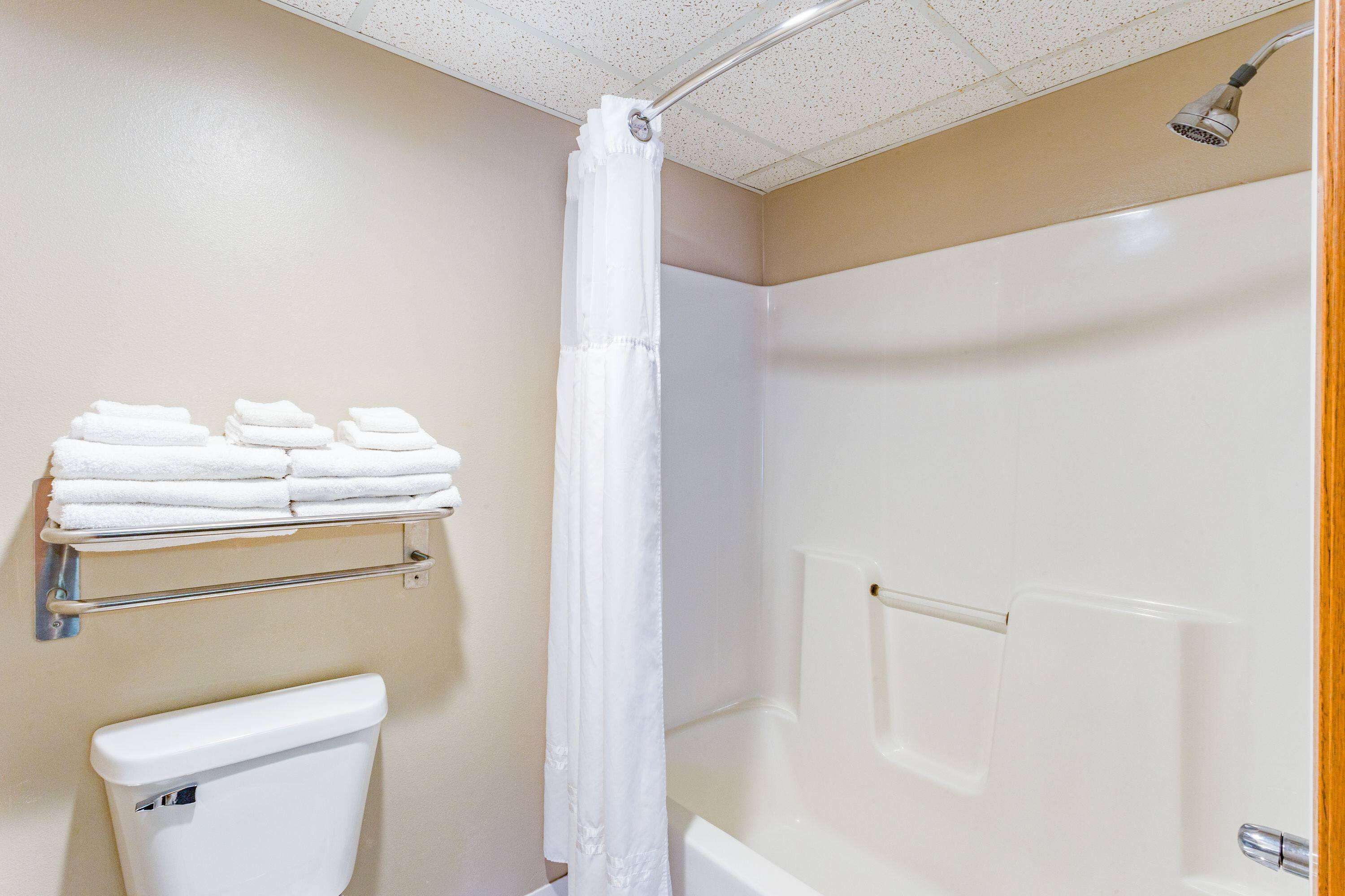 combined shower/bathtub, free toiletries, hair dryer, towels