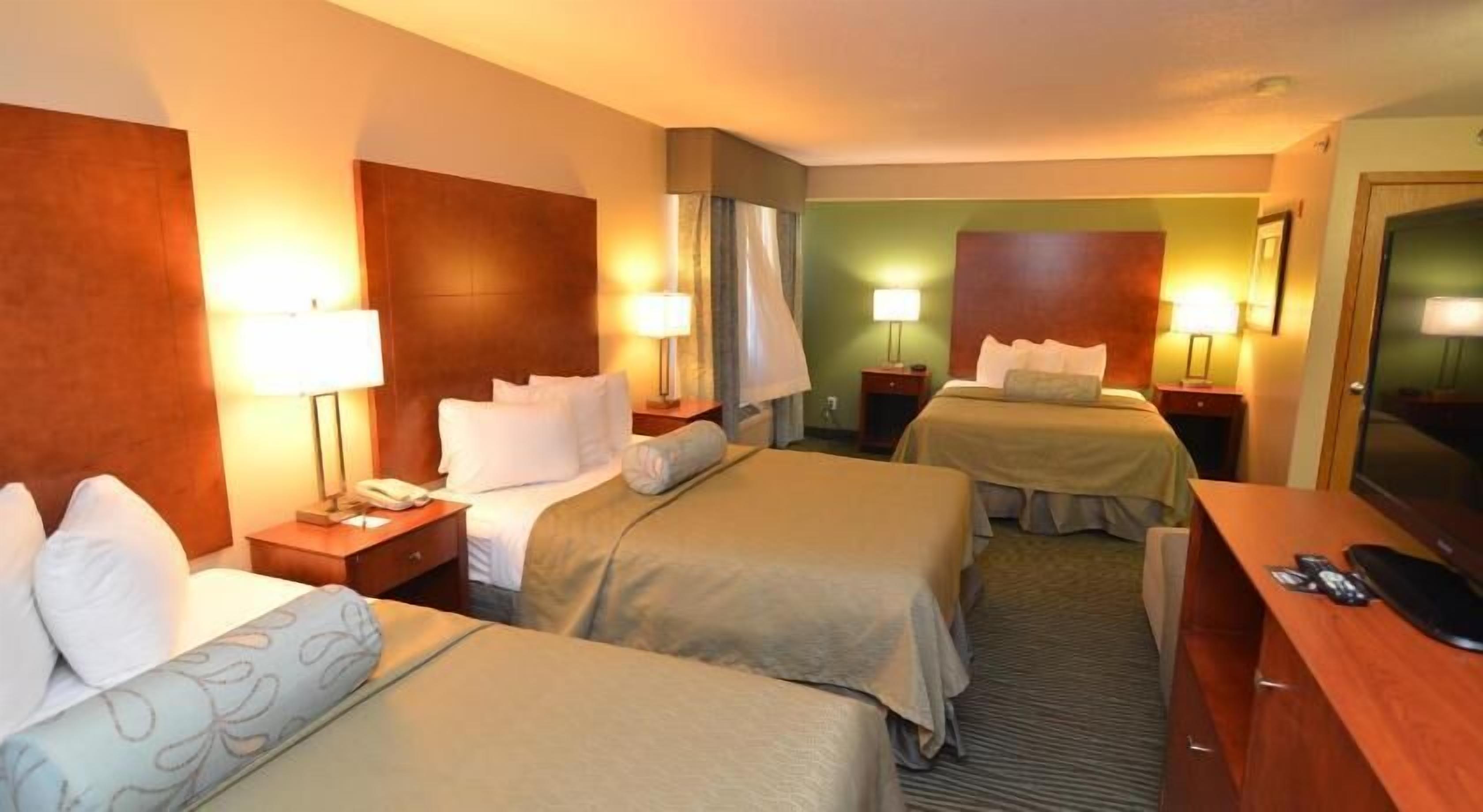 Escritorio, cortinas blackout y insonorización 