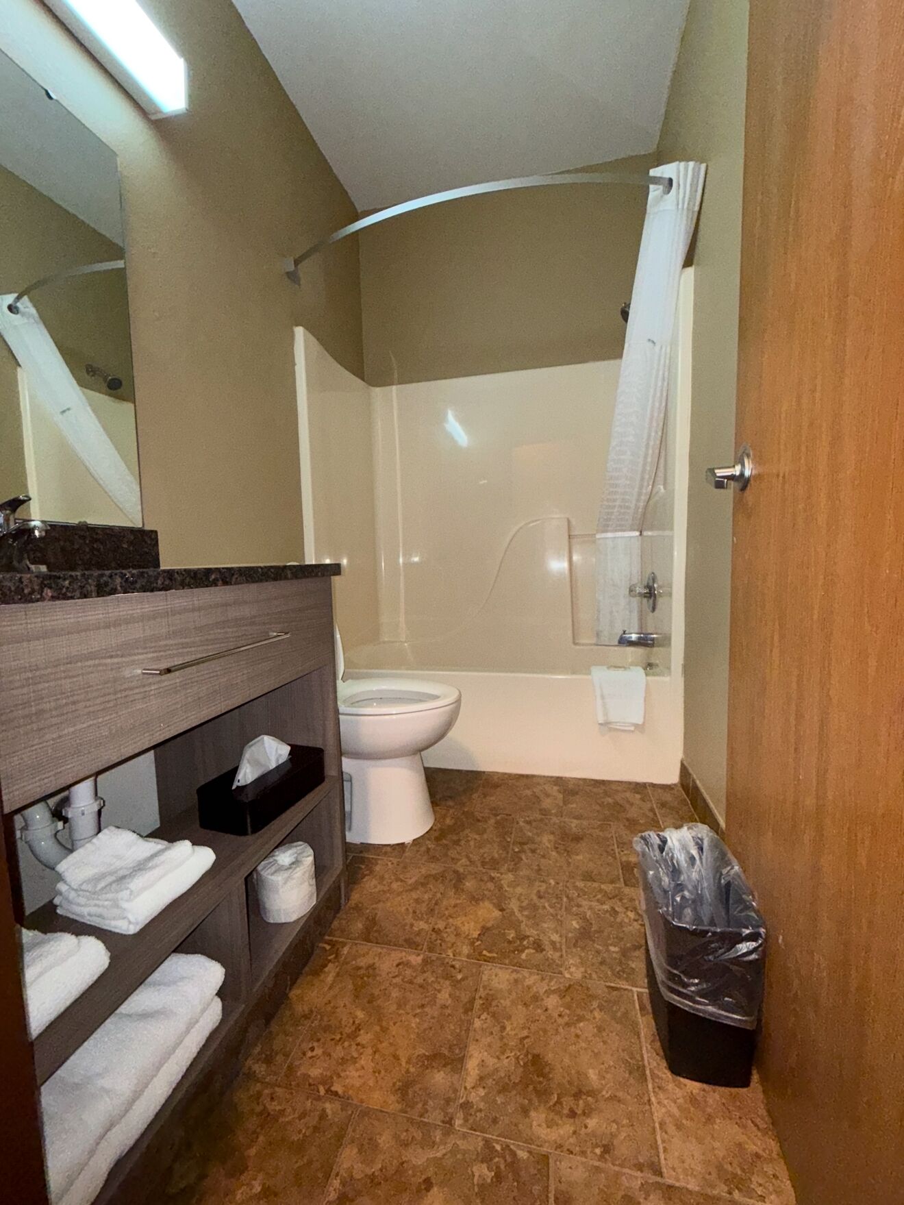 A bathroom with a toilet, a shower, a sink with a mirror, and a trash bin.