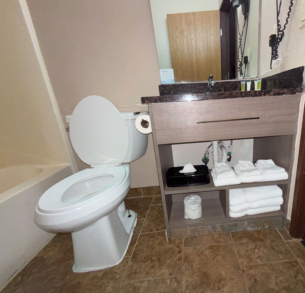 A bathroom with a toilet, a sink with a towel rack, and a mirror.
