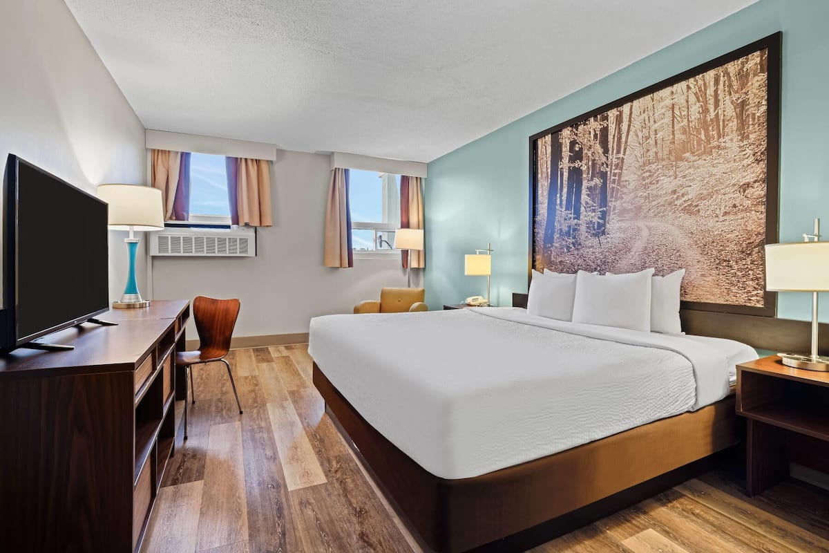 Une chambre d’hôtel avec un grand lit, un bureau avec une télévision, deux lampes et un grand tableau sur le thème de la forêt accroché au mur.