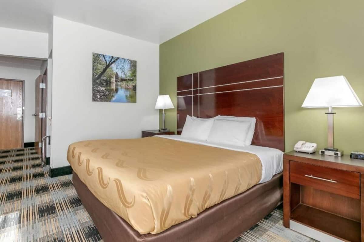 Habitación de hotel con una cama grande, dos mesitas de noche con lámparas, un cabecero de madera, un cuadro en la pared y una puerta que da a otra habitación.