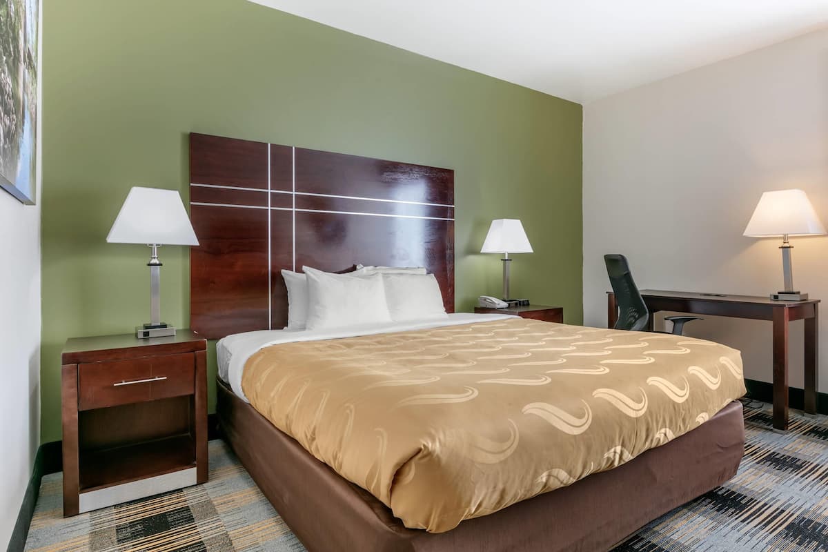 Una habitación de hotel con una cama grande, dos mesitas de noche, un escritorio y una silla.