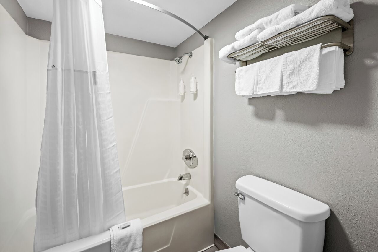 Combined shower/tub, free toiletries, hair dryer, towels