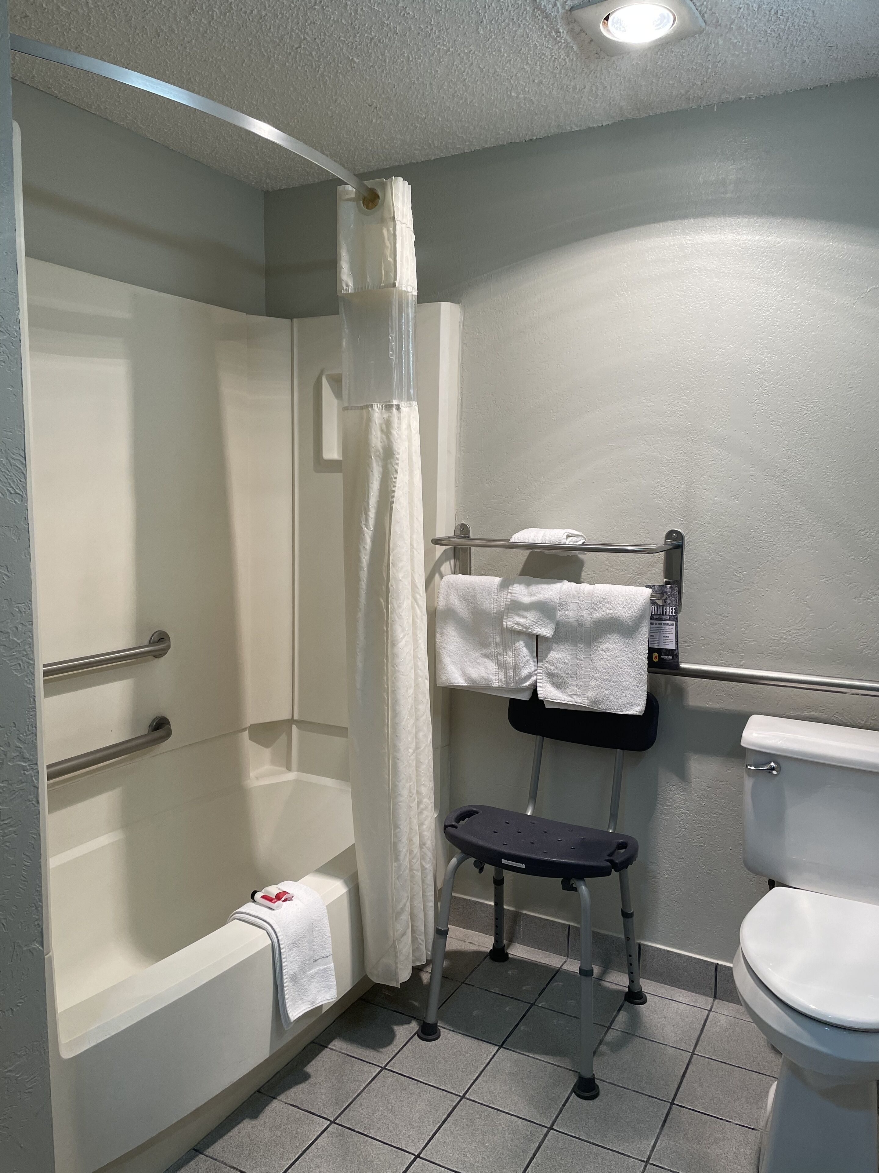 room, 1 king bed, accessible, non smoking (mobility) | bathroom | free toiletries, hair dryer, towels