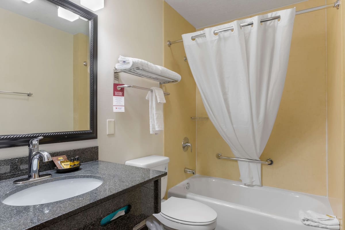 combined shower/bathtub, free toiletries, hair dryer, towels