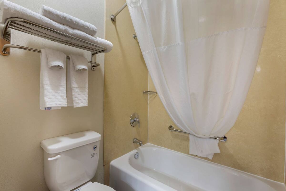 combined shower/bathtub, free toiletries, hair dryer, towels