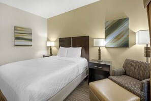 Standard Room, 1 Queen Bed, Accessible, Non Smoking (Walk-in Shower) | Desk, blackout drapes, iron/ironing board, WiFi (free) - Best Western Plus The Four Corners Inn (Farmington)