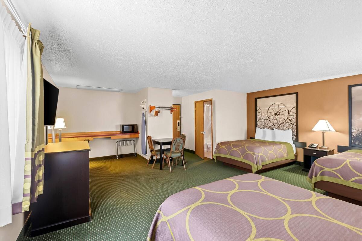 Habitación de hotel con dos camas, un escritorio, una silla, un televisor y un cuadro en la pared.