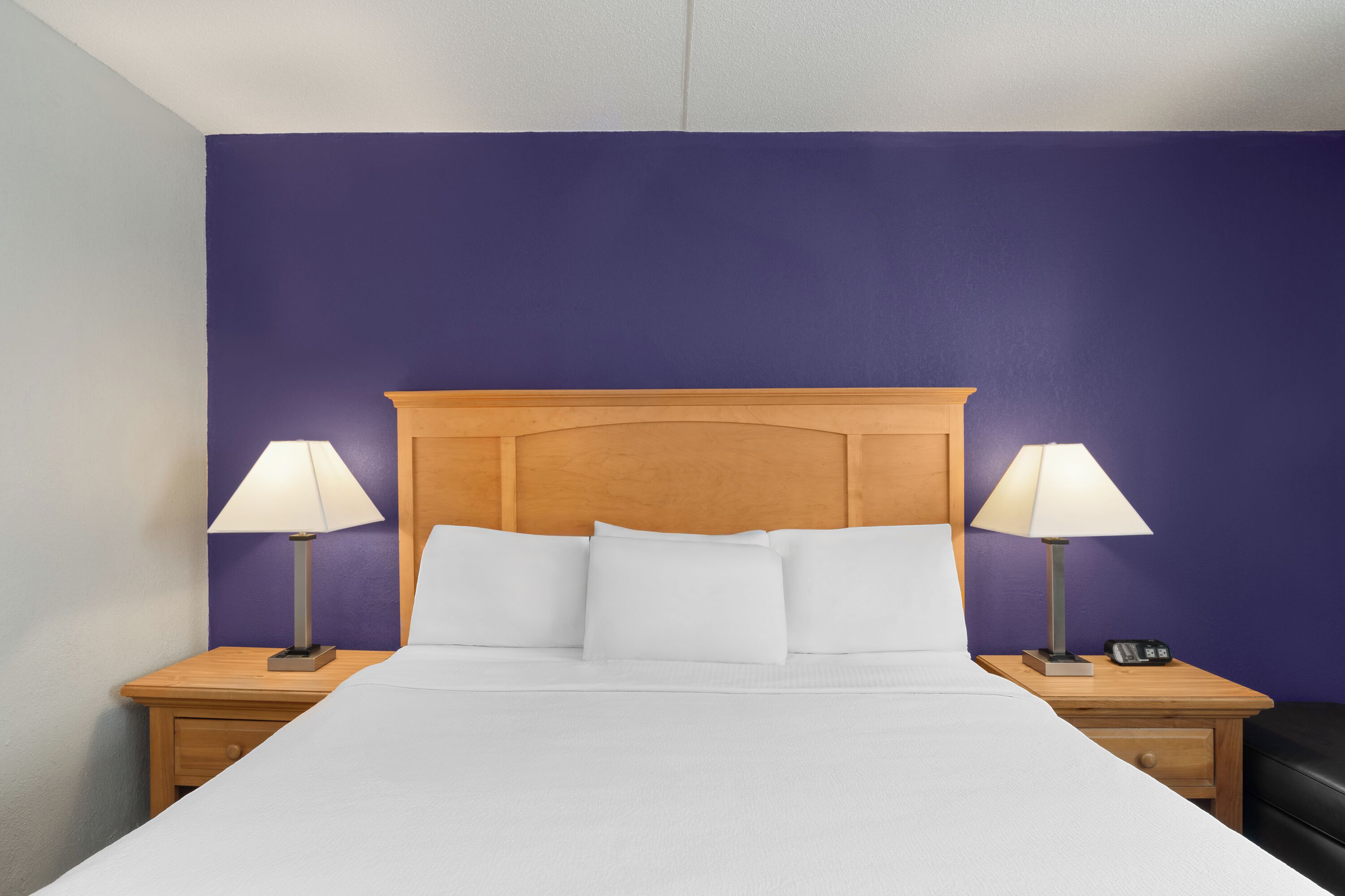 Room, 1 King Bed, Non Smoking | Desk, iron/ironing board, free cribs/infant beds, free WiFi