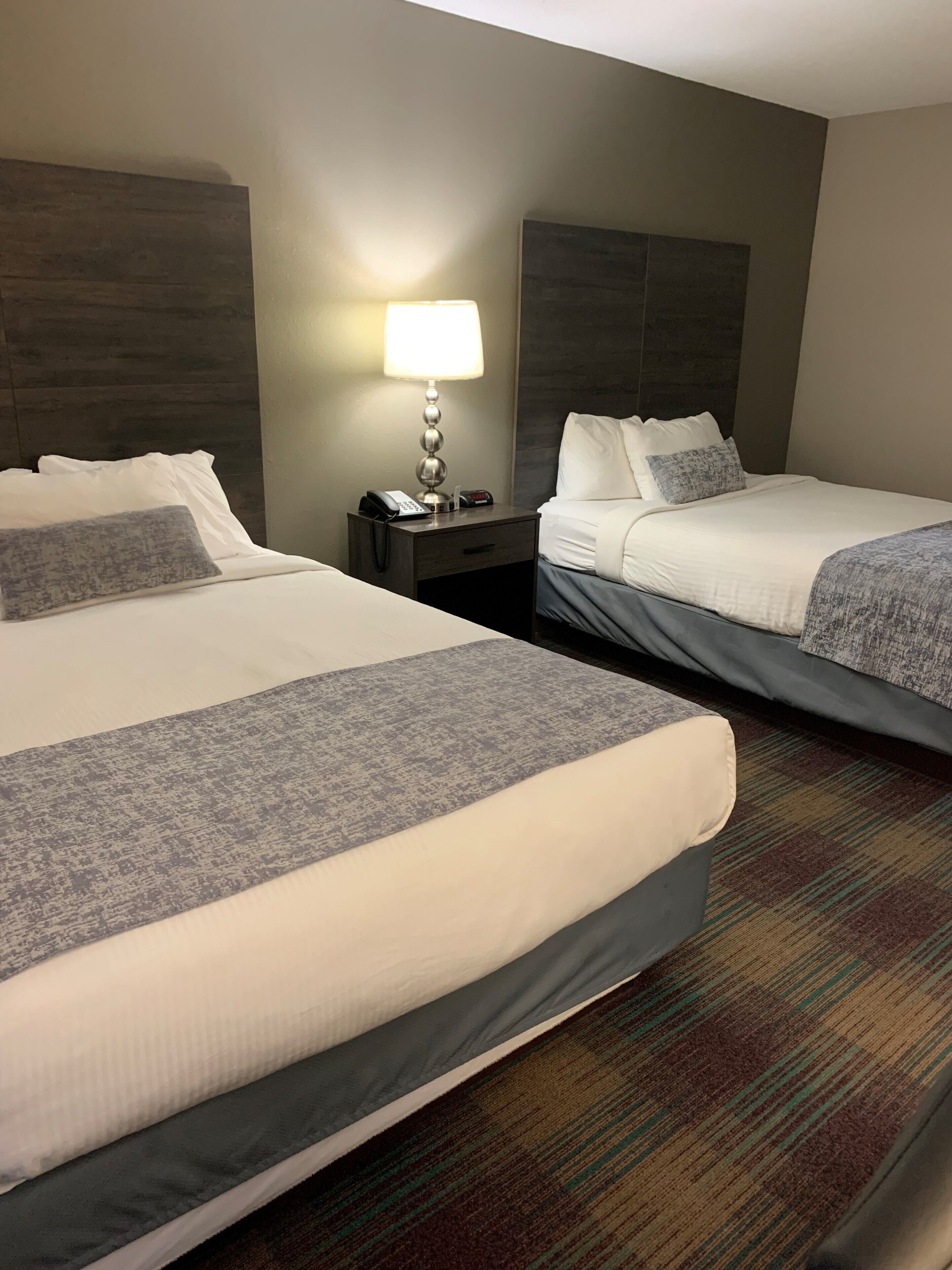 Habitación de hotel con dos camas, una mesita de noche con lámpara y suelo alfombrado.